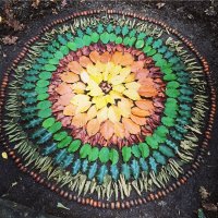 WildLearning (@wildlearning) Twitter profile photo