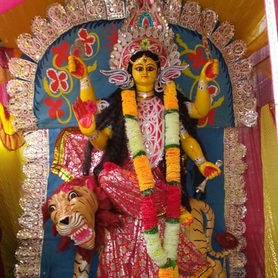 MitaliD74980051's profile picture. I am a student of tdc 4 sem