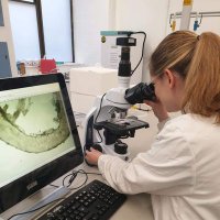 Dr Caley Mein (@caleymein) 's Twitter Profile