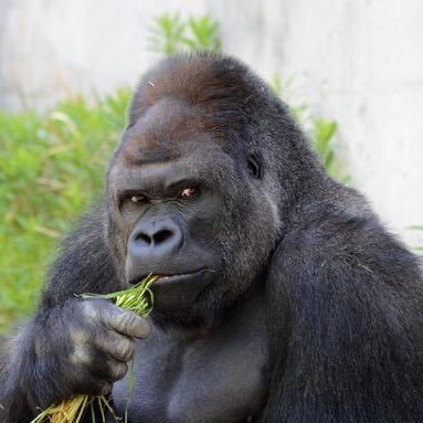 Tony86413767's profile picture. 无聊的闲人