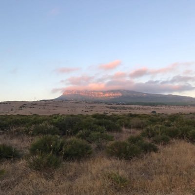 MleonManuel's profile picture.