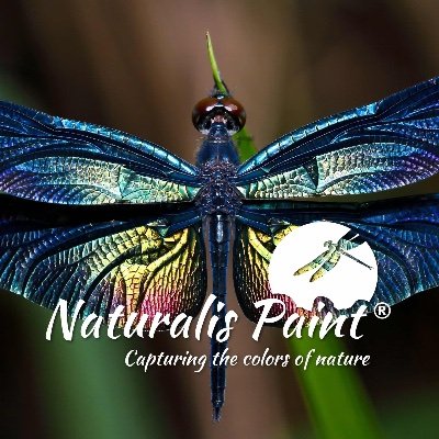 Naturalis manufacture specialty artists paints and color materials that have amazing effects from color changing to holographic and light response materials.