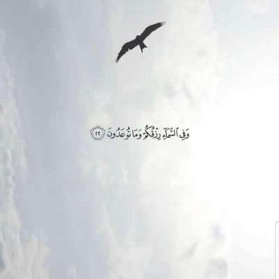 اللهم أوقف عمري على خاتمة حسنه وآيقظني على رائحة الجنه