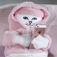 R-9 (@r9_017) 's Twitter Profile