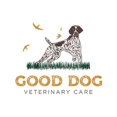 We provide premium veterinary care to dogs, while educating owners on the best wellness plans to help their dog live their best 