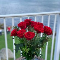 Chris Guyette (@guyette_chris) 's Twitter Profile