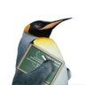 linuxsc's profile picture. Linuxsc - Linux Howtos, Scripts, Tutorials, Guides, News, Tips and Tricks.