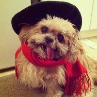 Domi🌶 (@minouche64) 's Twitter Profile