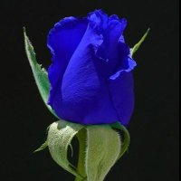 Selina Kyleπ (@faithhe94876806) 's Twitter Profile Photo Selina Kyleπ (@faithhe94876806) 's Twitter Profile Photo