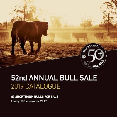 weebollabolla's profile picture. One of Australia’s signature Shorthorn producers, steeped in history while leading Australian agriculture into a visionary future.
