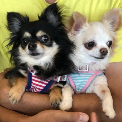 U C N 仕事で怒られて泣くやつってなんなん 自分のために言ってくれてる場合が大半なんだからしっかり受け止めて次に繋げろよ 怒られるのには何かしらの理由があるんだから U C N 仕事で怒られて泣くやつってなんなん 自分のために言ってくれてる場合が大半なんだからしっかり受け止めて次に繋げろよ 怒られるのには何かしらの理由があるんだから