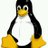nelcambo's profile image