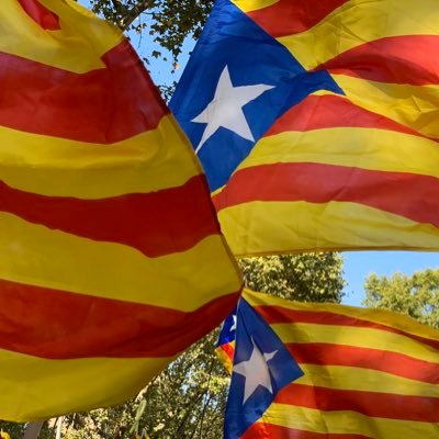 marcortegagil's profile picture. First we take Manhattan, then we take Berlin #ViaFora