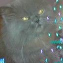 Caroline Ann booker-Moffat - @Carrie0804 - Twitter