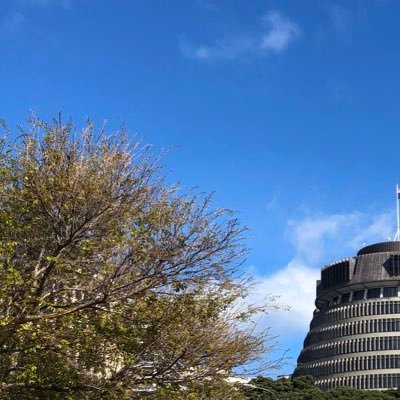 gracekarakia's profile picture. 