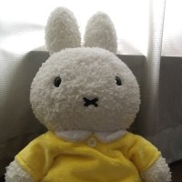 じゅんこ☆主婦(@junko_yamaichi) 's Twitter Profile Photo