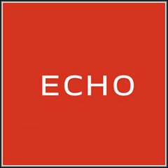 Image result for echo digital audio