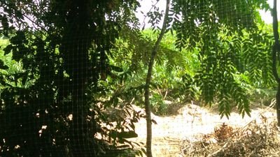 IV7np2i6Q4kIIFM's profile picture. ชื่อเอิร์ธ