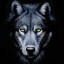 Sabin Barto - @WindyGalleria - Twitter