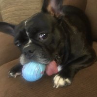 Mary Jo & Penny (@maryjo90237494) 's Twitter Profile Photo Mary Jo & Penny (@maryjo90237494) 's Twitter Profile Photo