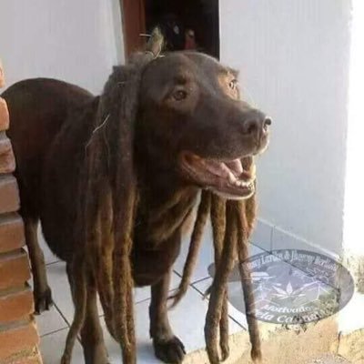 roztymal's profile picture. Vago profesional