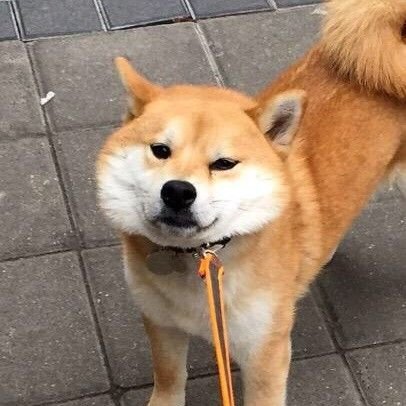 aowuaowu123's profile picture. 音樂 體育 時事