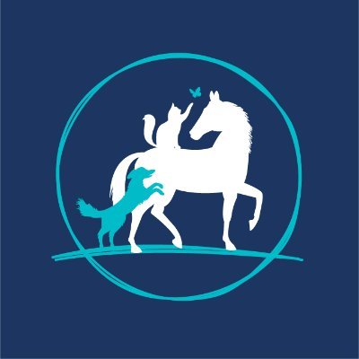 Dr Yolanda Surjan and team are taking their knowledge of human cancer care and translating it to dogs, cats and horses.