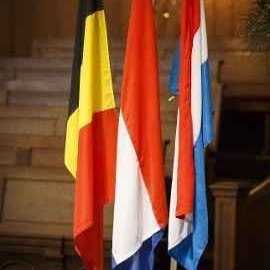 ParlBenelux's profile picture. Advies aan regeringen + proeftuin voor meer Europese samenwerking / Avis aux gouvernements + laboratoire pour coopération européenne poussée