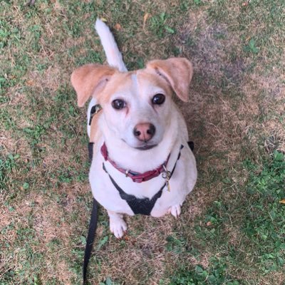 kendellsierz's profile picture. 