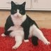 Queen Doris HRH. I have a double blue tick (@danish_karen) Twitter profile photo Queen Doris HRH. I have a double blue tick (@danish_karen) Twitter profile photo