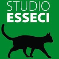 Studio Esseci(@studioesseci) 's Twitter Profile Photo