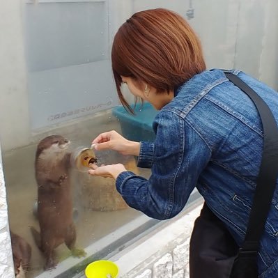 12_stm's profile picture. Disney♡嵐