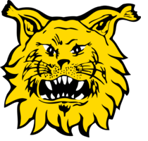 IlvesFutsal's profile picture. Ilves FS is the most successful futsal club from Finland. Eight time champions of the Finnish league. Women's team https://t.co/KO7TrA12Ev, Junior Teams.