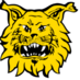 Ilves FS, Tampere (@ilvesfutsal) Twitter profile photo