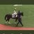 オキザリス賞!ジェネティクスにスミヨン!のアイコン