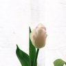 kaihua_k's profile picture. 