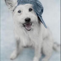 luz (@luzzz73) 's Twitter Profile
