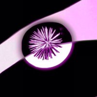 TheCrosses (@crossesthe) 's Twitter Profile