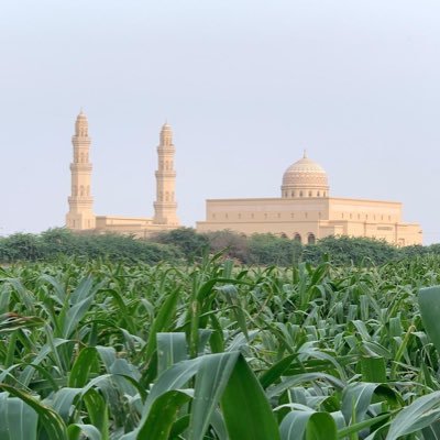 بكالوريوس تربية إبتدائية في التربية الإسلامية واللغة العربية ، ماجستير إدارة تربوية ، معلمة مجال أول 💚