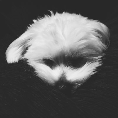 jfim88's profile picture. 