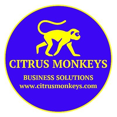 Web Design and Development, Websites and Ecommerce, Marketing, Brand Awareness, Motion Graphics, Promotional Vids, Logo's