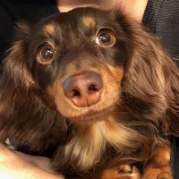 lucoand (@lucoand) 's Twitter Profile Photo lucoand (@lucoand) 's Twitter Profile Photo