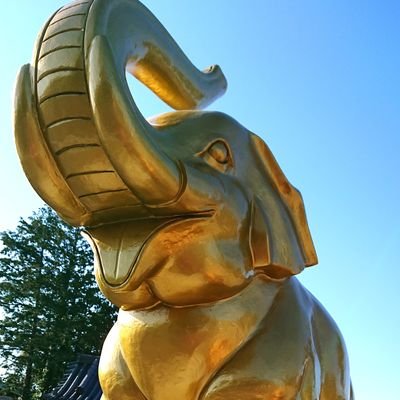 AKIHA_vanilla's profile picture. 成人済腐 20↑＊アイナナが最近メインかも＊暴飲暴食をしない、5時間以上寝る、健康に気を付けてオタ活！