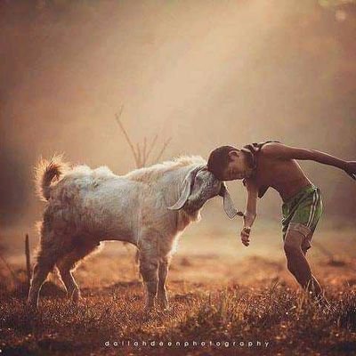 SudrajatYusep's profile picture. 