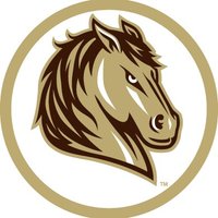 SMSU Athletics(@SMSUMustangs) 's Twitter Profileg