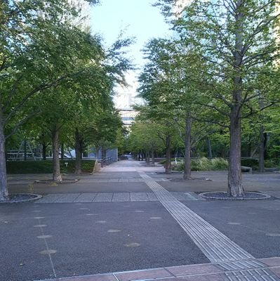 nono747yuki's profile picture. 