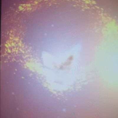 Doun85309606's profile picture. 