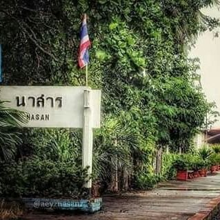 peraZew's profile picture. 