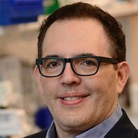 Chris Mendias (@chrismendias) 's Twitter Profile Photo