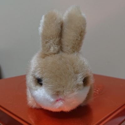 ノリピストさんのプロフィール画像